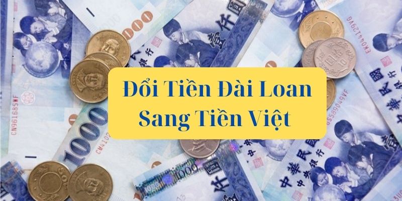 Đổi tiền Đài Loan sang tiền Việt 247